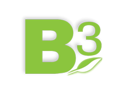 Baumgartens / B3.net Logo